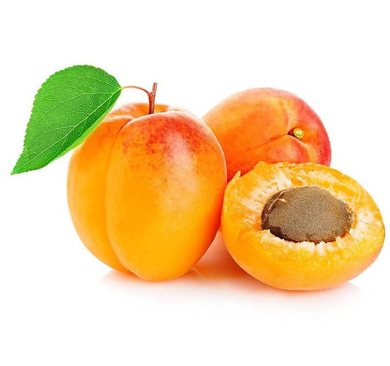 5Pcs Apricot Tree Seeds