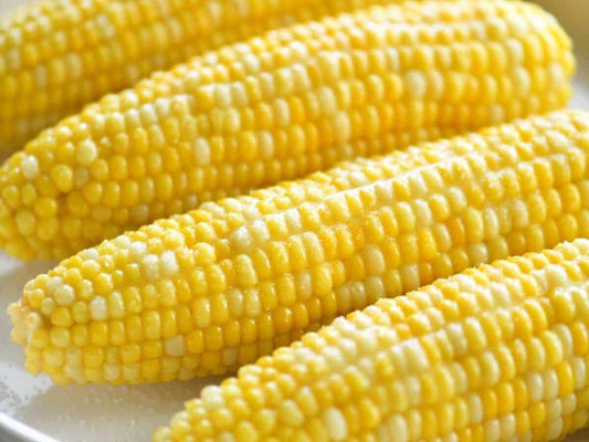  Sweet Corn Seeds