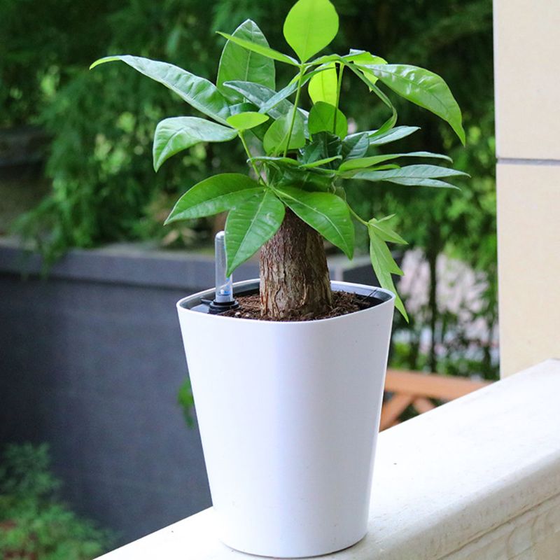 Self-Watering Flower Pot Indoor with Water Level Indicator