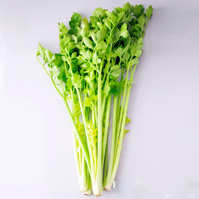 100Pcs Chinese Celery Seeds