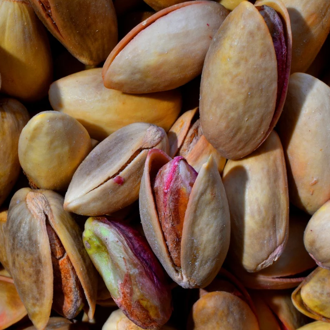 Organic Pistachio Tree Seeds, Non-GMO