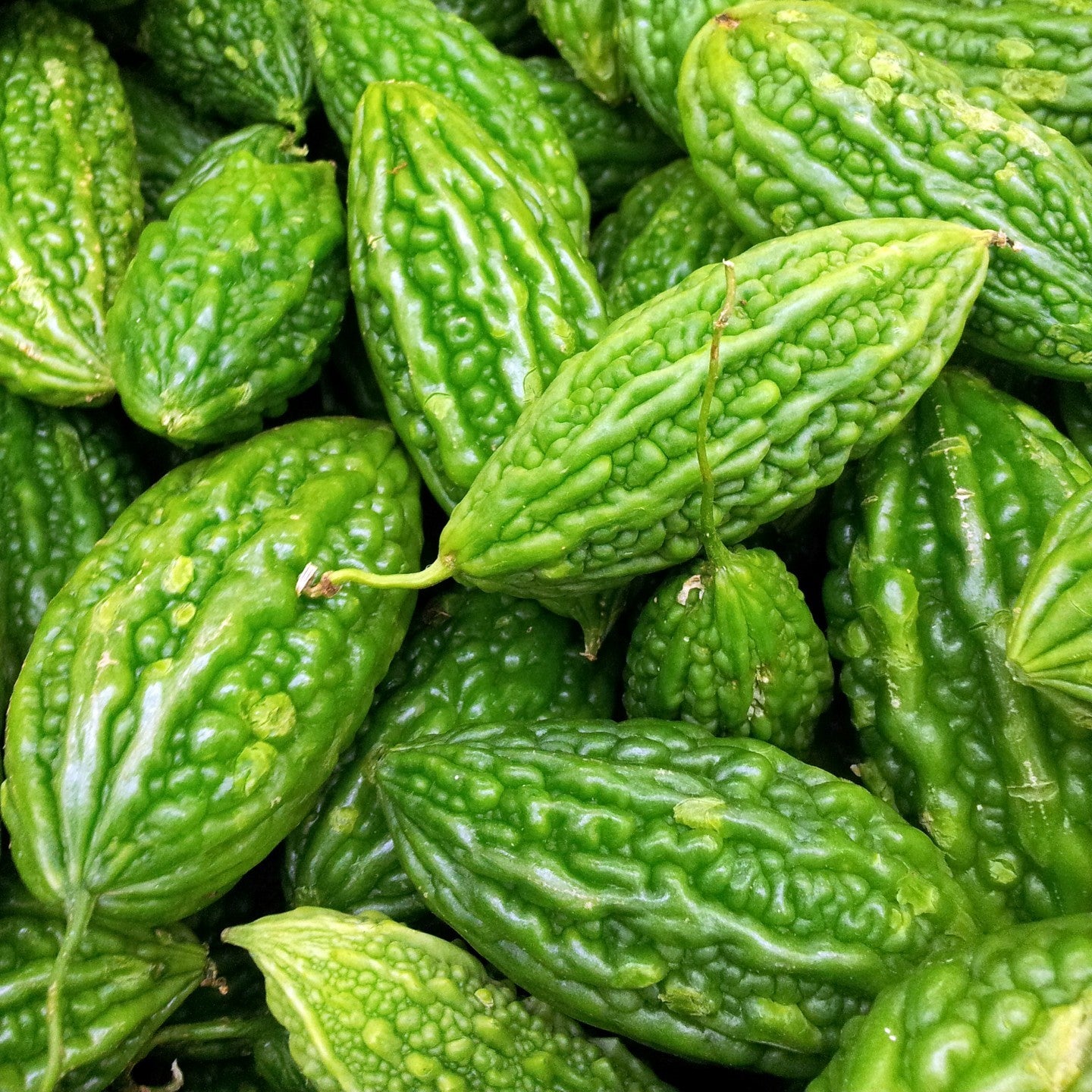 20Pcs Organic Bitter Gourd Seeds