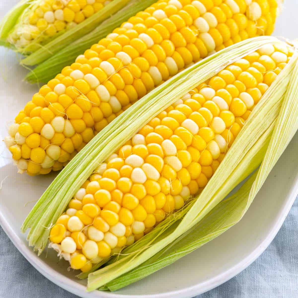 20pcs Sweet Corn Seeds