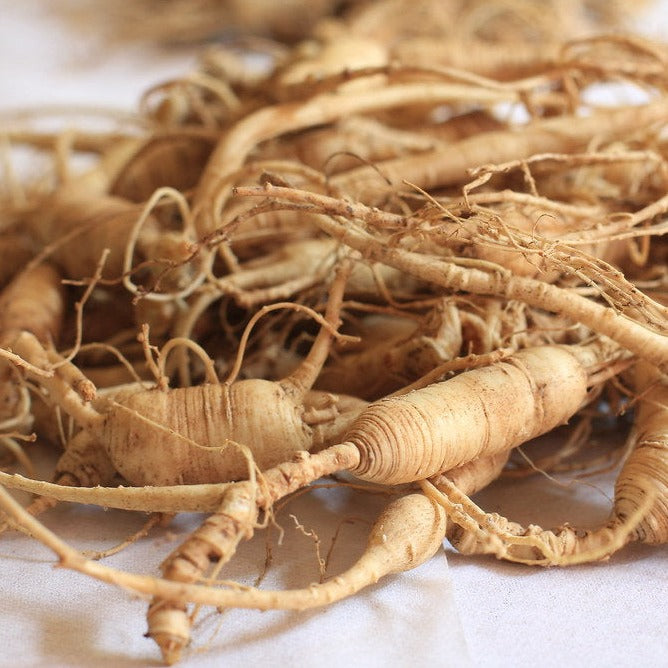 Korean Ginseng Plant Seeds