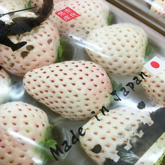 High Grade White Snow Alpine Strawberry Seeds