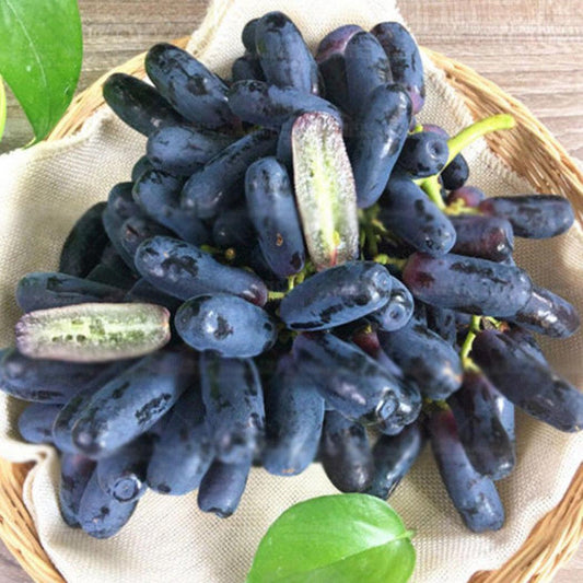 10Pcs Black Finger Grape Seeds, Grape Heirloom Seeds, Heirloom Fruit Seeds, Rare Seeds