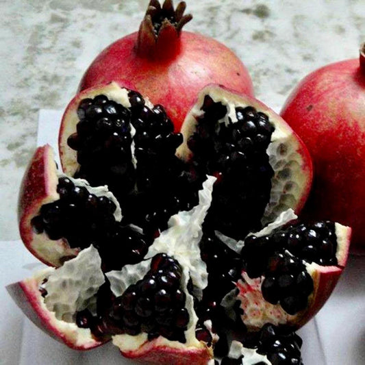 Black Pomegranate Seeds