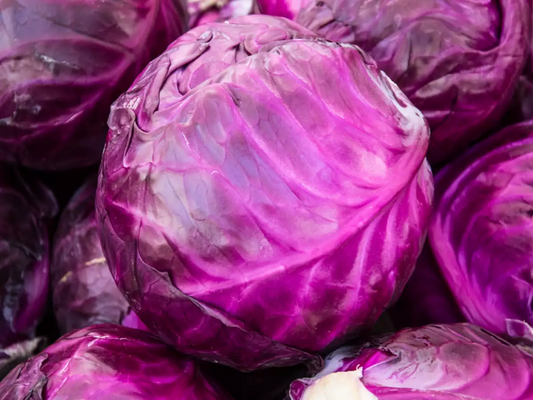 100pcs Purple Brassica Cabbage Seeds