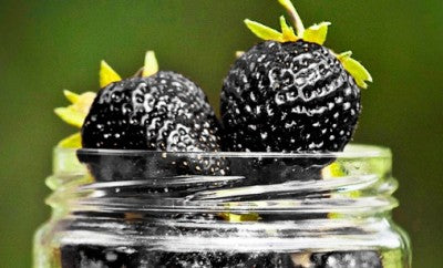 High Grade Black Alpine Strawberry Seeds